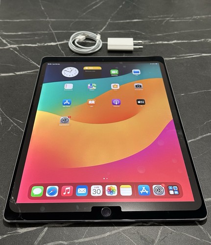 Ipad pro 256gb wi fi - ipad,