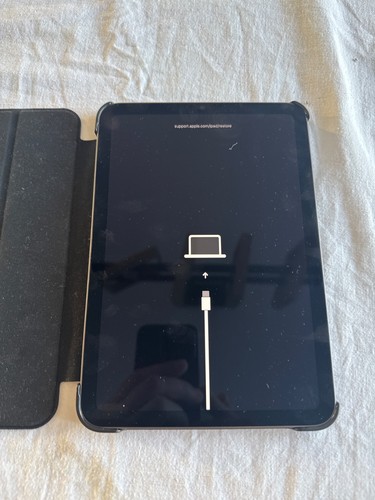 Apple ipad mini 256 8 - 6, gb