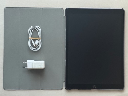 Apple ipad pro - pro, 256