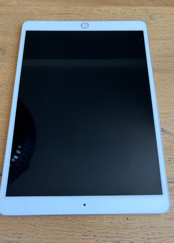 Ipad pro silver 256 gb - pro, silver,